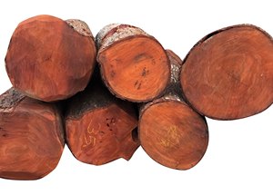 Troncos de Goma Azul Premium (Eucalyptus globulus) Troncos de Madera de Goma Azul Comprar Troncos de Goma Azul - Product Image 6