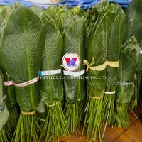 FEUILLES DE DONG CONGELÉES DU VIETNAMIEN-EMBALLAGE DE HAUTE QUALITÉ POUR PLATS TRADITIONNELS ASIATIQUES/FEUILLE À BAS PRIX POUR VOTRE GÂTEAU
