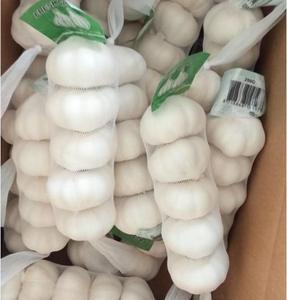 Prix d'ail frais blanc pur de haute qualité/ail en vrac à vendre/ail de Chine Top épices simples - Product Image 3