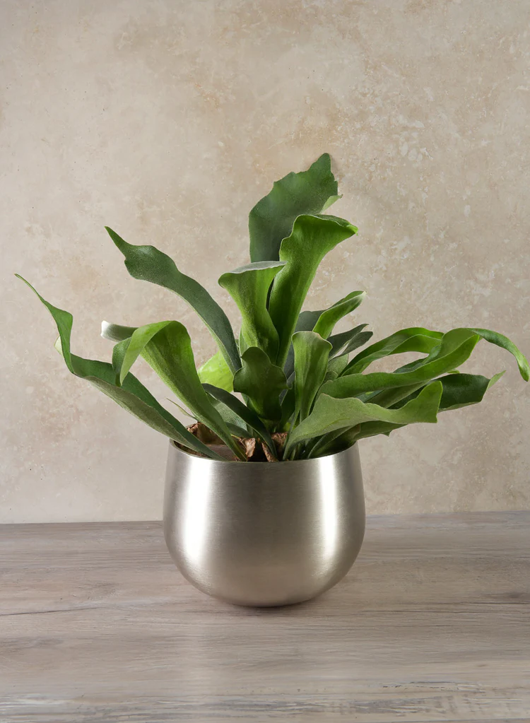 เหมือนกับและกำหนดเอง