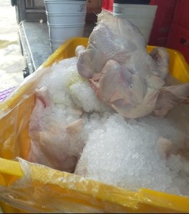 ไก่แช่แข็งฮาลาลทั้งตัว / ขายส่ง - บรรจุภัณฑ์แบบขายส่ง วิตามินและคาเฟอีน ฮาลาลและออร์แกนิก - Product Image 1