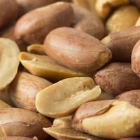 Arachides Biologiques Naturelles Brutes de Qualité Supérieure, Approvisionnement en Gros, Commerce International, Teneur Élevée en Huile, Sélection Agricole, Propres et Séchées, Qualité Export