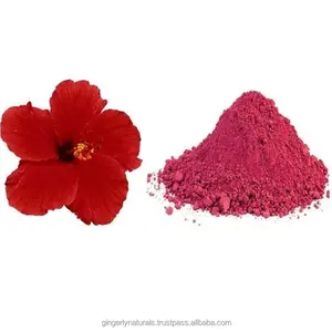 Polvere di ibisco Rosa Sinensis di qualità Premium del produttore dall'india a basso prezzo
