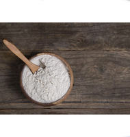 Herbojit International Poudre de Vanille Lyophilisée la Plus Vendue 100% Naturelle Arôme Supérieur Additif Alimentaire de Qualité Supérieure Riche en Arômes en Vrac