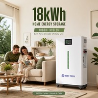 Batterie au lithium fer phosphate BEES TECH 10000+ cycles 18 kWh 51,2 V 360 Ah avec design lumineux pour système solaire domestique, stock UE