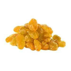 Raisins secs dorés d'origine raisins secs dorés de meilleure qualité pour l'exportation