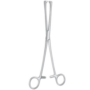 FÓRCEPS DE TENÁCULO MUSEUX (8mm) Fórceps de tenáculo de calidad profesional de acero inoxidable - Product Image 1