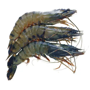 Camarones congelados de exportación de alta calidad, deliciosos mariscos frescos, alimentos saludables, gambas Vannamei sin cabeza, IQF procesado a granel - Product Image 1