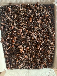 Spring Dry Star Anise-Grado B-Precio barato-Color natural - Product Image 2