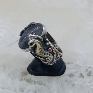 Bague unisexe tendance en argent avec pierre précieuse en forme d'équidé et pierre de style quartz de haute qualité pour les boutiques et les détaillants - Product Image 1