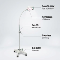 Lampe d'éclairage chirurgical LED à flexible CHLED300Y, 7 perles, haute luminosité, pour examen en clinique, hôpital, chirurgie