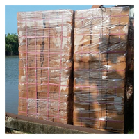 Brique de substrat de tourbe de coco basse EC idéale pour la culture hydroponique et les lits de jardin, alternative propre et organique au sol traditionnel