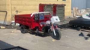 <span class=keywords><strong>3</strong></span> ruote 200cc nuova casa adulto benzina <span class=keywords><strong>3</strong></span> ruote moto con tricicli da carico Sidecar per il carico - Product Image 6