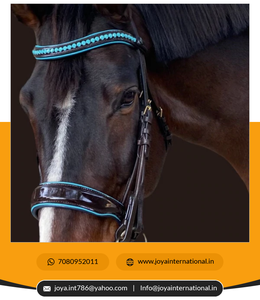 Nouvel arrivé Prix de gros OEM personnalisé édition limitée bride Océanie brun brevet Double bride intelligente - Product Image 5