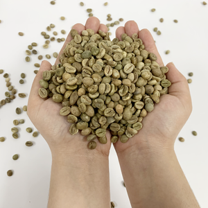 Café Arabica biologique du Vietnam torréfié pour les torréfacteurs de café et les distributeurs d'exportation, prêt pour l'OEM, MOQ 1 kg - Product Image 2