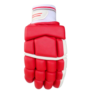 ถุงมือคริกเก็ตตีแบบปรับแต่งโลโก้ขนาดและสี - Product Image 1