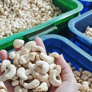 เม็ดมะม่วงหิมพานต์ดิบ ทุกขนาด ยี่ห้อ Kaju Badam SANTIGO นำเข้าจากเวียดนาม จัดส่งฟรี - Product Image 1