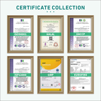 Gouttes liquides de résine de Shilajit, complexe de plus de 85 oligo-éléments, Ashwagandha, Curcuma, Ginseng, Chaga pour usage oral, sans danger pour les femmes enceintes
