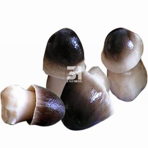 Консервированные грибы высшего качества из Вьетнама, хорошая цена, натуральные + 0084 981 859 069 (г-жа Нэнси)