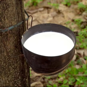 High Quality SVR 3L 60% Natural Rubber <b>Liquid</b> Molding Grade Medical Grade Hydrolysis Resistant Raw Materials for Glue Tyre - Product Image 1