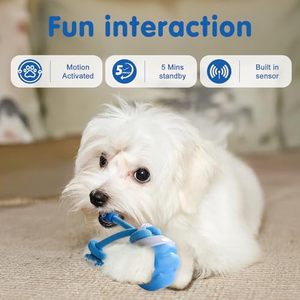 Giocattolo giocattolo interattivo intelligente per cani con funzione di movimento ricaricabile con <span class=keywords><strong>suono</strong></span> e luce a LED - Product Image 2