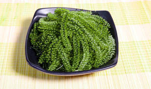 องุ่นทะเลอบแห้งออร์แกนิกจากเวียดนาม - Product Image 6