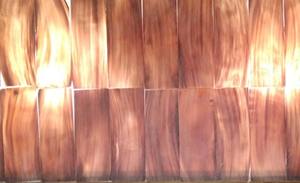 Plaques en corne de buffle blanche claire - Product Image 2