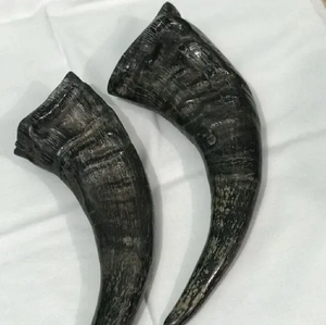 อาหารสัตว์เลี้ยงจากโปรตีนธรรมชาติ สำหรับสุนัข ของเล่นเคี้ยวสำหรับสุนัขทำจากเขาควาย ของเล่นสัตว์เลี้ยง ของเล่นเคี้ยวสำหรับสุนัขทำจากเขาควาย ขนาดตามสั่ง - Product Image 2