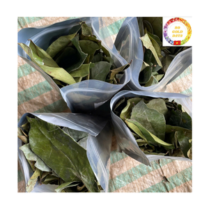 ใบหญ้าฝรั่งแห้งเกรดพรีเมียมจากเวียดนาม สำหรับอุตสาหกรรมชาสมุนไพร - Product Image 4