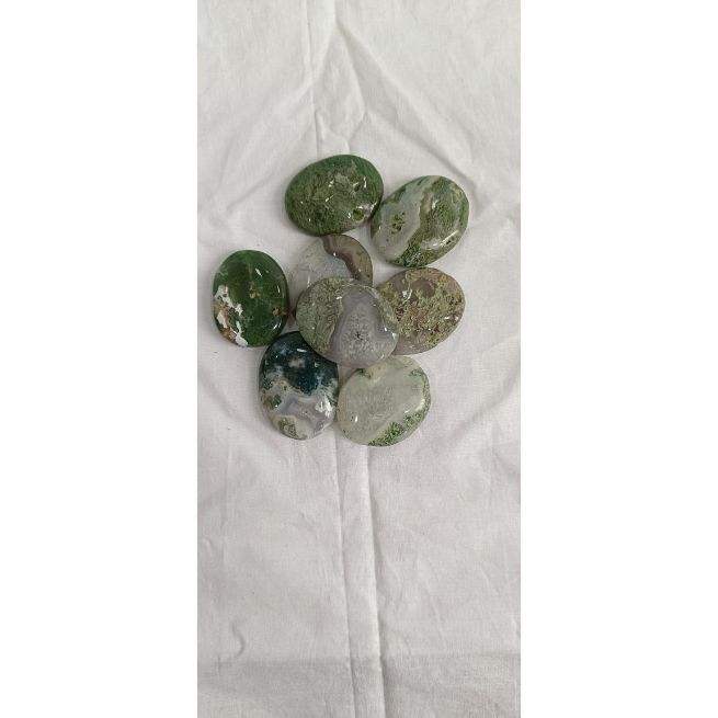 สีเขียวอ่อน