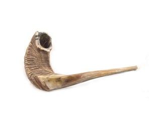 Haute qualité casher Shofar Kudu blanc Kudu corne Shofar poli traditionnel religieux Instrument de musique naturel soufflant corne - Product Image 4