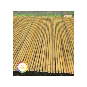 Poteaux en bambou fabriqués au Vietnam-Idéal pour les installations événementielles et agricoles-Naturel et durable - Product Image 1