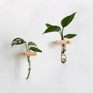 HTB0104 - แจกันหลอดทดลองแขวนขนาดเล็ก - 4 นิ้ว - Product Image 5