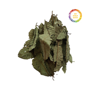 Bebida de hoja de guayaba Té seco procesado de Vietnam Ingrediente Comercio global - Product Image 5