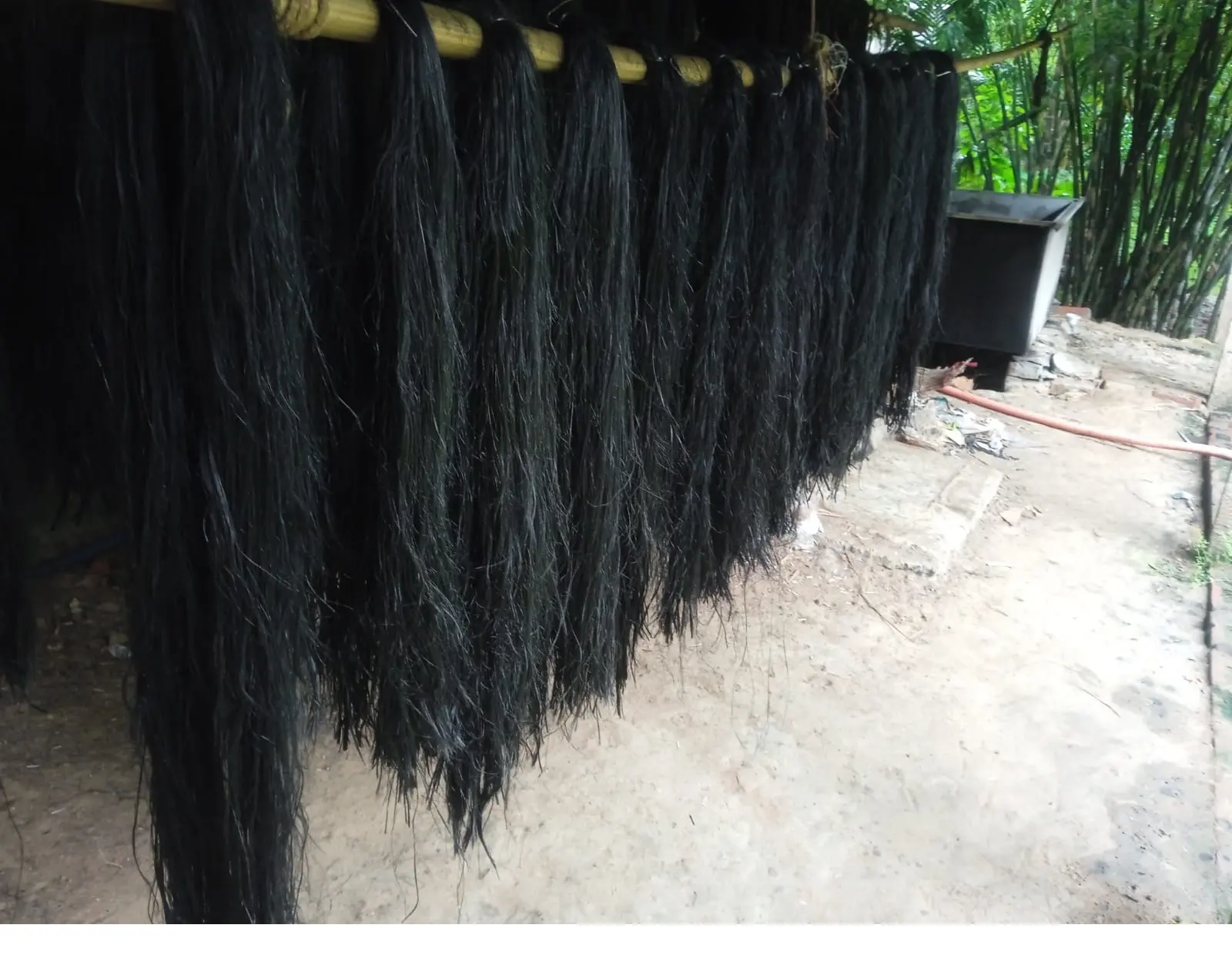 Fibra di capelli di banana nera tinta banana naturale di dimensioni 160 CM ideale per la rivendita da parte dei designer di estensioni dei capelli