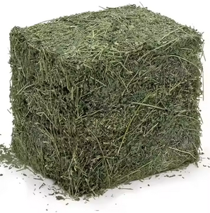 Alfalfa Hay at Very Cheap Price / Quality Rhodes Grass Hay Alfalfa Alfalfa Hay for <b>Animal</b> <b>Feeding</b> - Product Image 1
