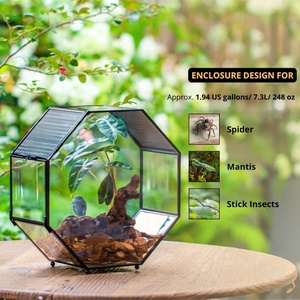 Terrario in Vetro Geometrico Ottagonale Grande Fatto a Mano per Insetti e Animali con Rete di Ventilazione (Solo Terrario) - Product Image 4