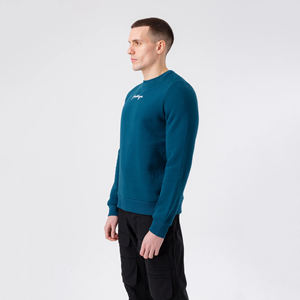 2025 <b>Men's</b> High Quality Cotton O-Neck Sweatshirt Customizable Breathable <b>Fleece</b> Winter Crew Customized Hoodies - Product Image 5