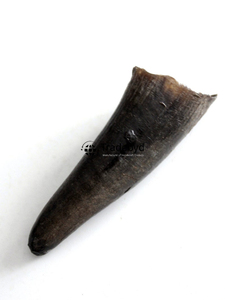 Tradebyd Handmade Horn Crafts Idées de cadeaux naturels écologiques décoratifs de luxe pour la décoration intérieure - Product Image 3