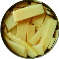 Rodajas de Bambú - Piezas de Bambú Sazonadas - Cortes de Bambú Premium - Suministros de Cocina de Bambú - Product Image 2