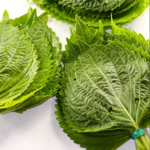 HOJAS DE PERILLA NATURALES/IDEAL PARA ENSALADAS Y GUARNECIAS/HECHO EN VIETNAM - Product Image 2