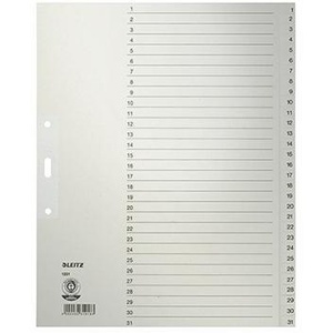 Leitz Extra-Wide DIN <b>A4</b> 100g/m Recycled Grey Rope Paper 1-31 File <b>Folder</b> Accessories - Product Image 1