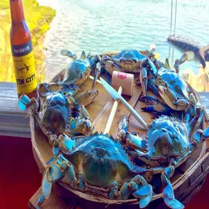 High Quality Factory FROZEN Swimming Crab Blue Crab