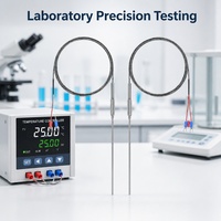 Termopar Blindado de Precisión Tipo K, Sensor de Alta Temperatura SUS316 de 0~800, OEM/ODM, Clasificación IP56 para Uso en Hornos Industriales