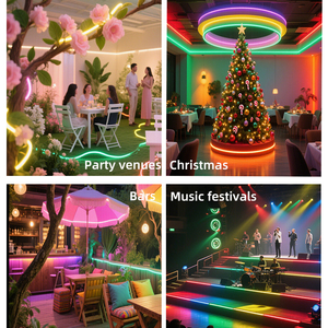 Ws2811 720LED/M địa chỉ <span class=keywords><strong>RGB</strong></span> <span class=keywords><strong>LED</strong></span> Strip 24V 12V linh hoạt pixel lập trình màu sắc thay đổi thông minh Dimmable COB <span class=keywords><strong>LED</strong></span> Strip - Product Image 5