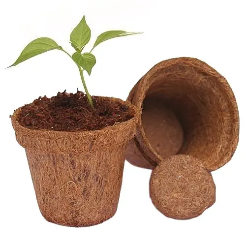 Grosir Pot Bunga, Pot Penanam, dan Pot Penyemaian Pot Serat Kelapa Dibuat Oleh Eco2go Vietnam