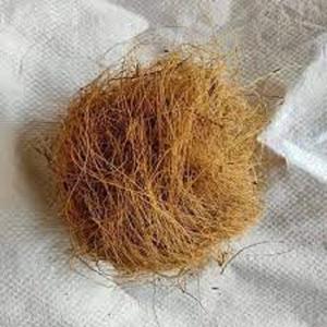 Fibre de noix de coco naturelle de haute qualité pour matelas brosses cordes tapis de culture paillis fibre de coco vente en gros de l'Inde - Product Image 3