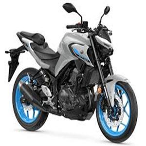 Nuevas motocicletas SuperSports originales 2015-2025 Yamah-aS MT 03 - Product Image 1