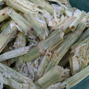 BAGAZO DE CAÑA DE AZÚCAR VIETNAMITA DE ALTA CALIDAD-IDEAL PARA COMPRAS A GRANEL CON BENEFICIOS ECOLÓGICOS - Product Image 3