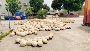 2025 NOUVEAUX bols à salade et cuillère en bambou faits à la main écologiques d'ECO2GO VIET NAM pour les fêtes! - Product Image 4